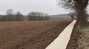 Plantation de haies en Côte d'Or
