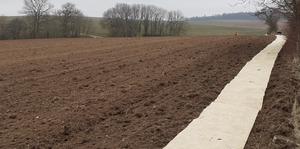 Plantation de haies en Côte d'Or