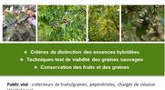 🔍 Journée technique - Identification et viabilité des graines, ligneux