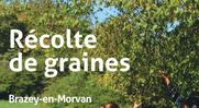 Récolte de graines Végétal local à Brazey-en-Morvan