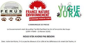 [COMMUNIQUÉ DE PRESSE] Tirs à l'encontre des loups, nous n'en avons pas besoin.