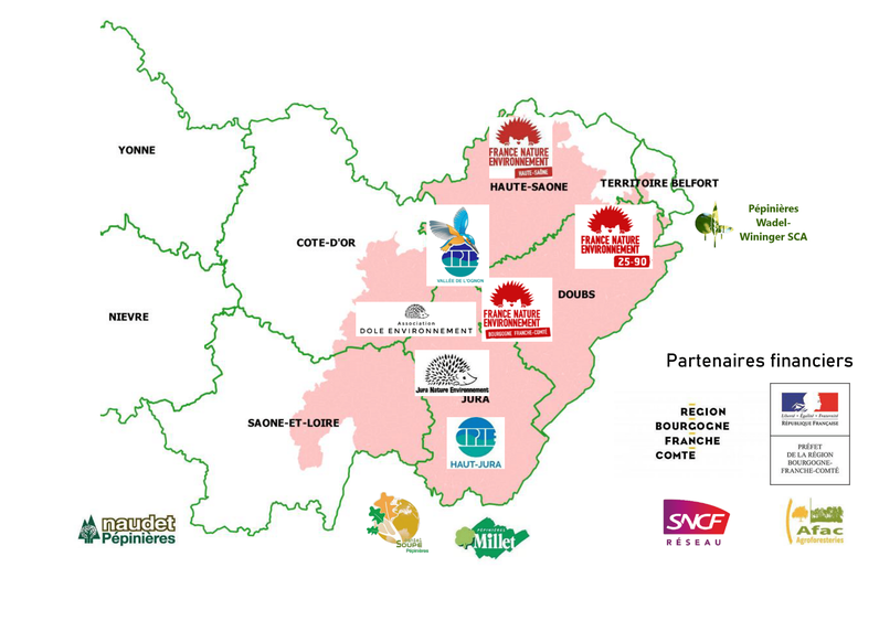 Figure 1 : Acteurs professionnels participant à la filière Végétal local