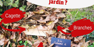 Des abris pour les hérissons