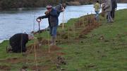 Retour sur la plantation d'une haie le long du Doubs à Roche-lez-Beaupré