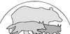 Communiqué de l'association FERUS