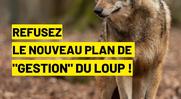 PNA 2024-2029 Positionnement FNE-BFC