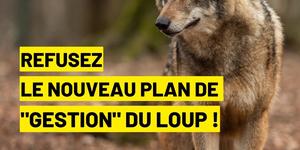 PNA 2024-2029 Positionnement FNE-BFC