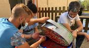FNE BFC recrute un.e chargé.e de coordination de la filière Végétal local