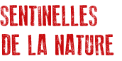 OFFRE D'EMPLOI : Chargé(e) de mission Sentinelles de la Nature