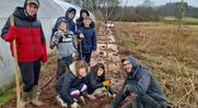 Retour sur notre dernier chantier de plantation de l'hiver 2022-2023