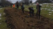 Plantation de haie à Vernierfontaine