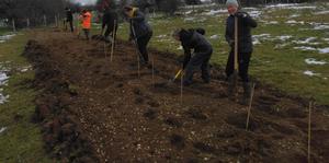 Plantation de haie à Vernierfontaine