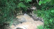 Des fromageries ne font pas que des fromages mais polluent des cours d’eau…