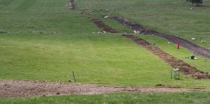 Plantation de haies à l'alpage de Cernois Dubief