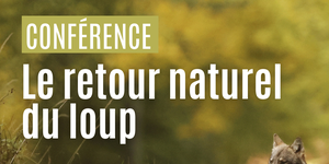 [Conférence] Le retour naturel du loup
