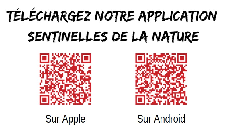 Télécharger l'application Sentinelles