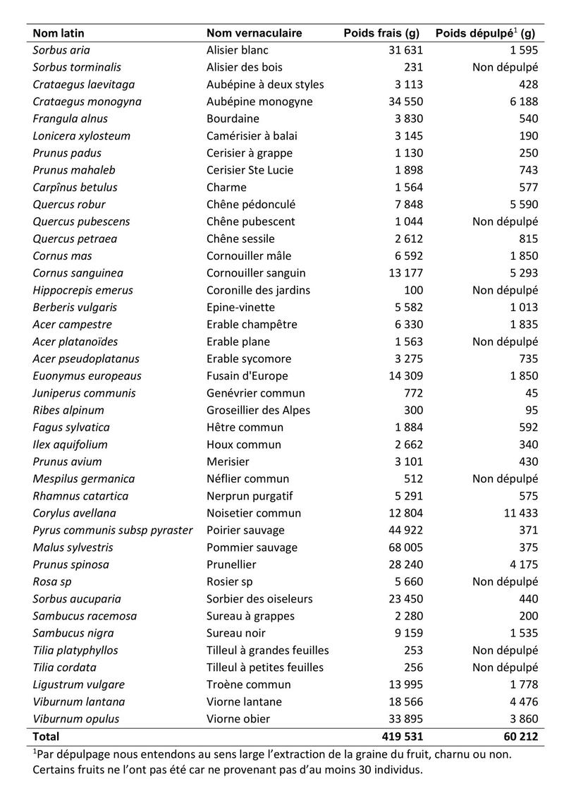 Figure 3 : Poids de fruits récoltés (frais et dépulpés)
